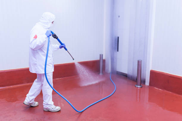 Best Oil Spill Cleanup  in Woodside, CA